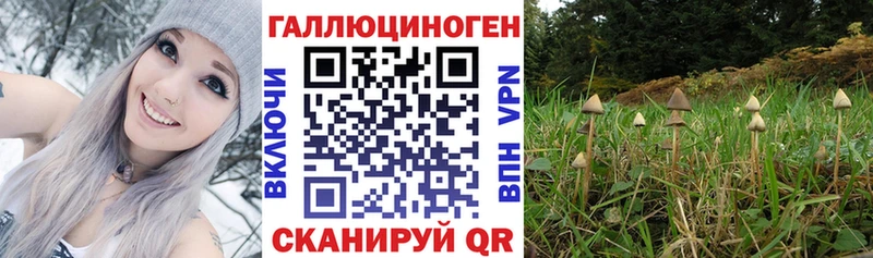 Галлюциногенные грибы GOLDEN TEACHER нарко площадка какой сайт Набережные Челны